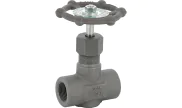 Carbon steel A105N needle valve 484 3000 psi NPT