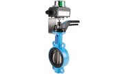 TTV Butterfly valve 1150 + limit switch box SF012